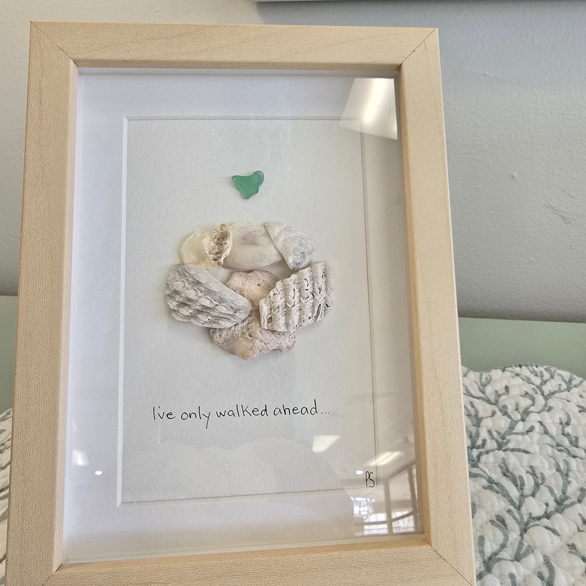 Assorted Angel Wings Framed Seashell Art