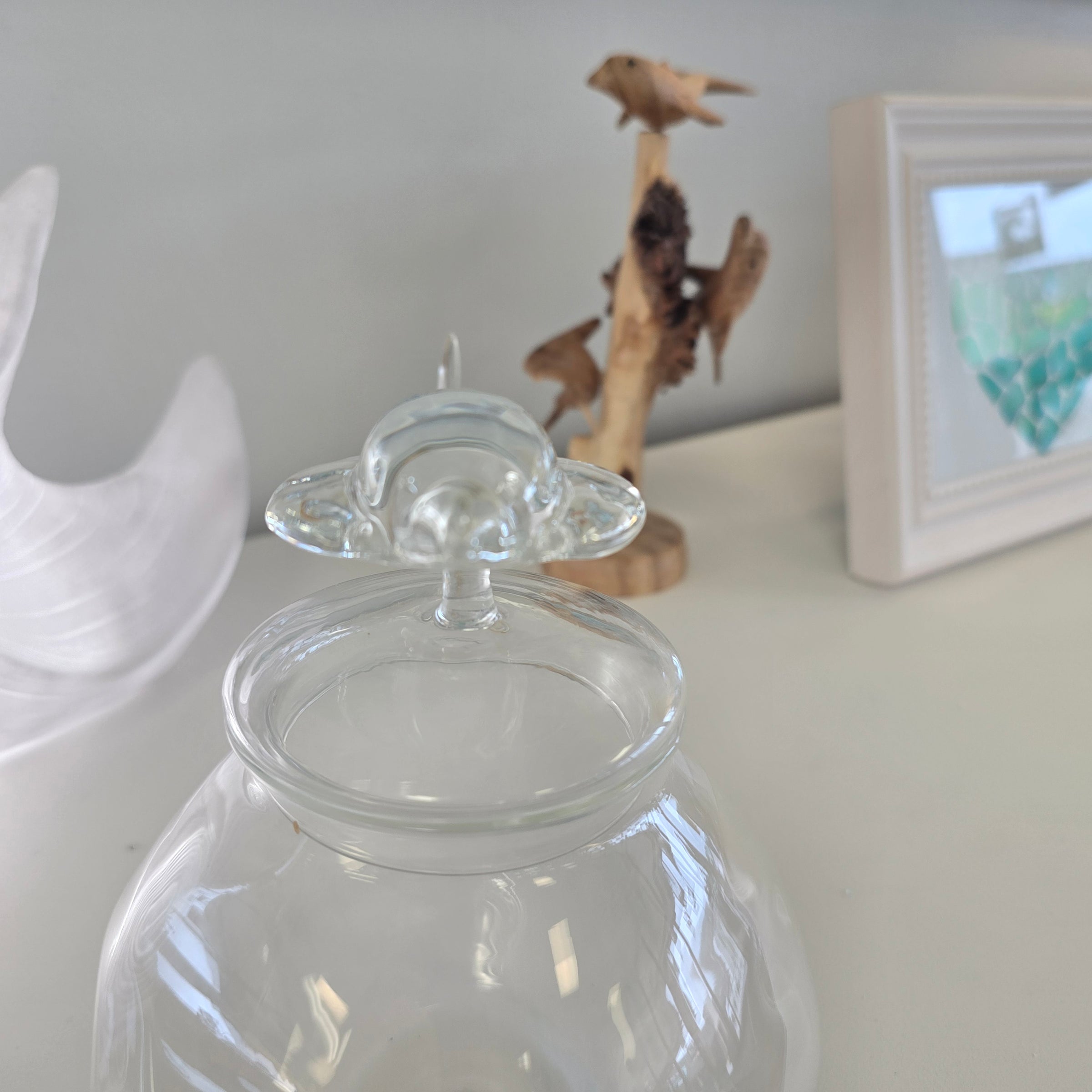 Oceana glass jar