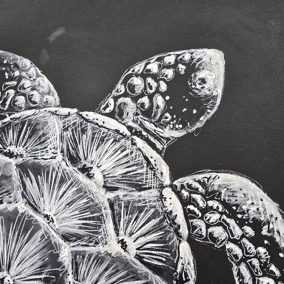 Sea Turtle on Canvas