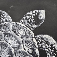 Sea Turtle on Canvas