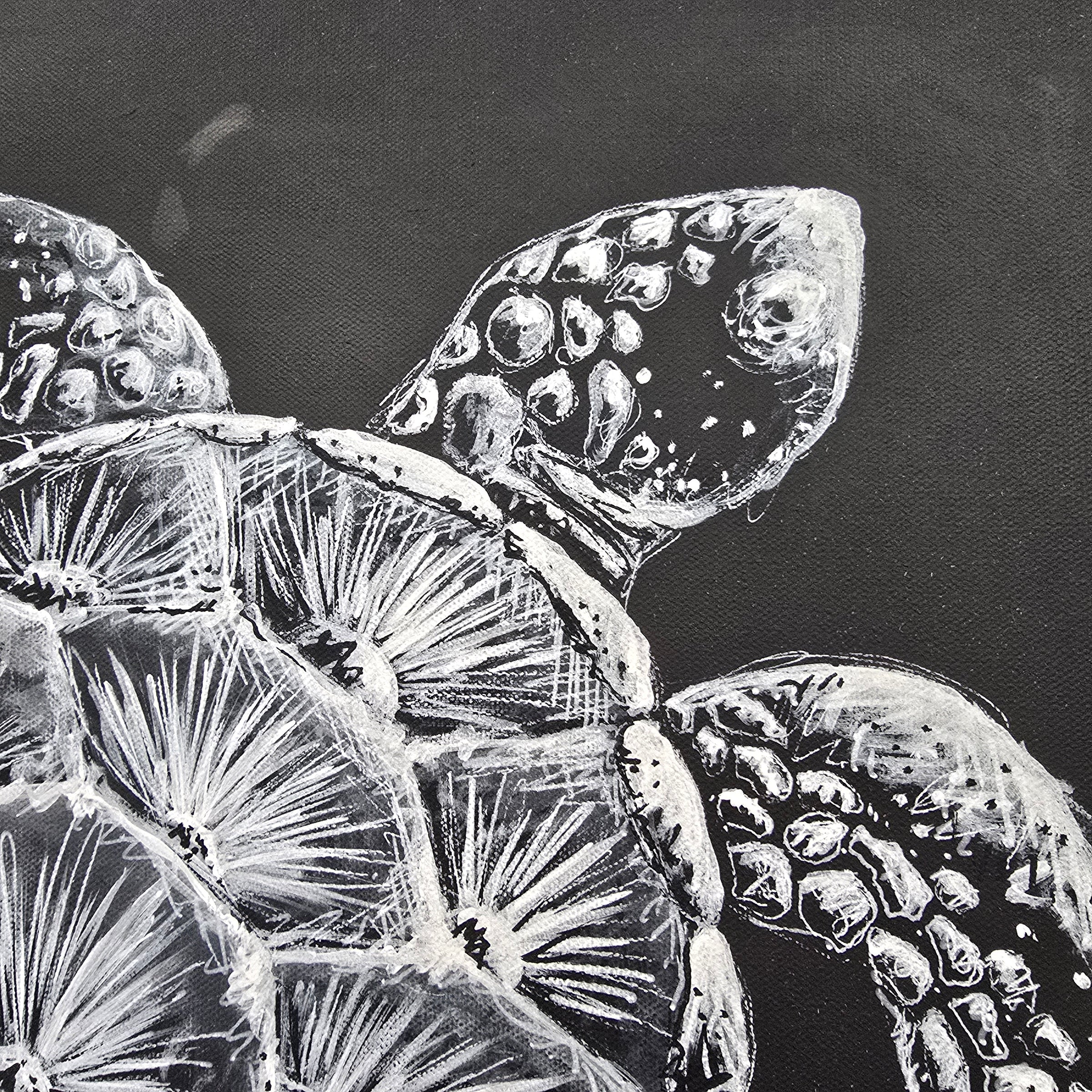 Sea Turtle on Canvas