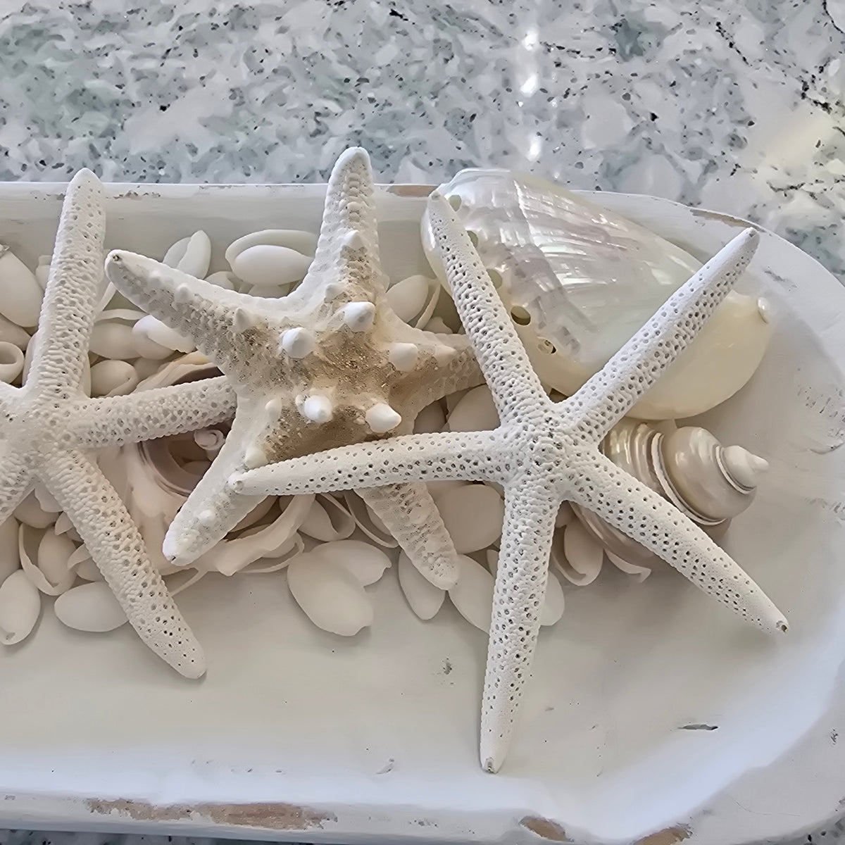 Medium Hand carved dough bowl centerpiece with shells.