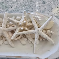 Medium Hand carved dough bowl centerpiece with shells.