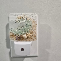 Acrylic Night Lights w/ Coastal Designs in Glass, Sand, Shells Resin