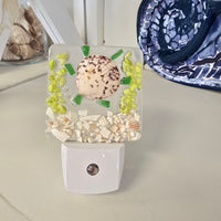 Acrylic Night Lights w/ Coastal Designs in Glass, Sand, Shells Resin