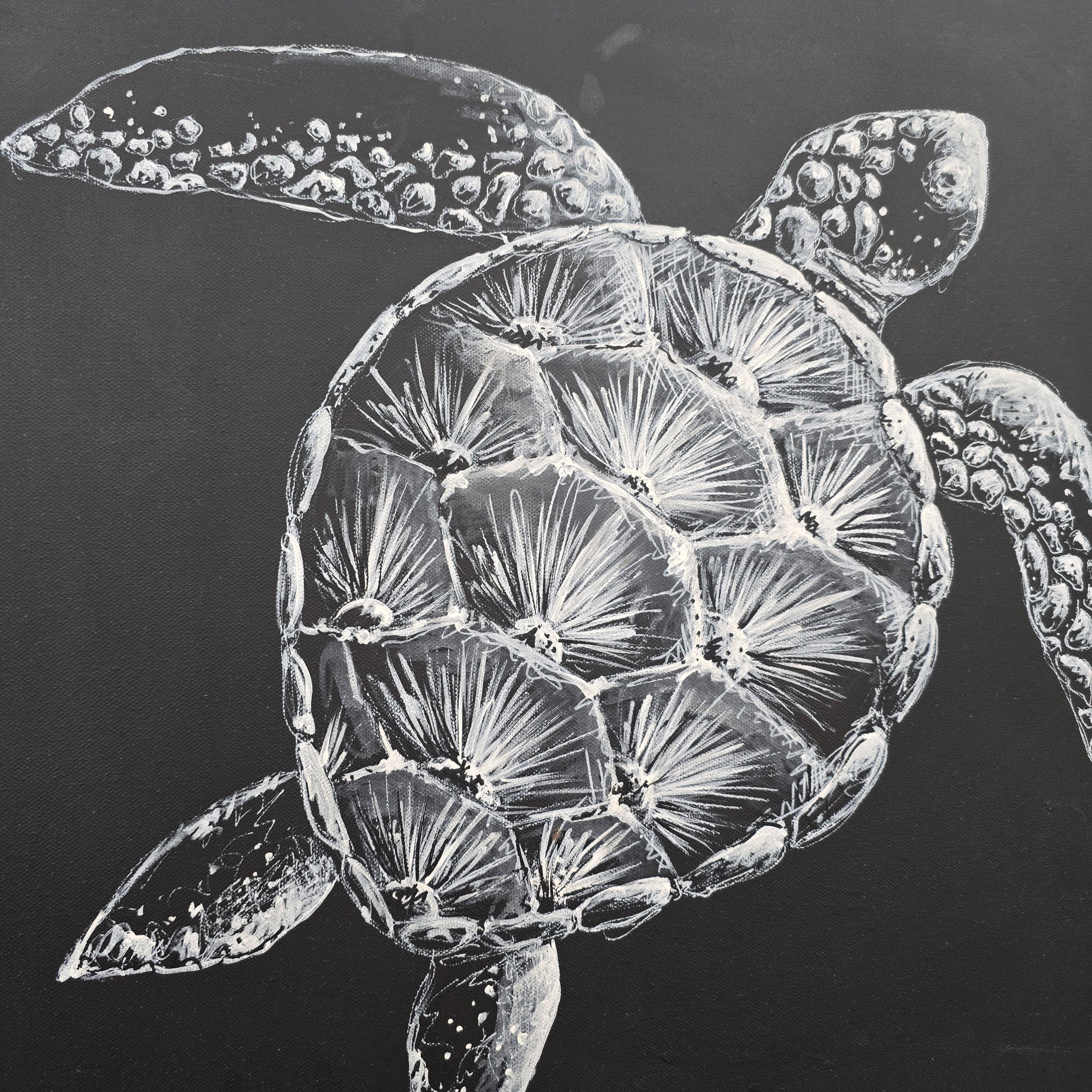 Sea Turtle on Canvas