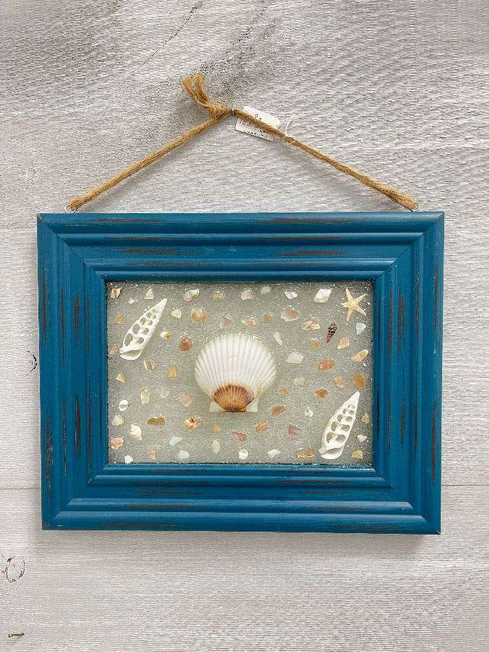 Seashell Glass Window