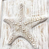 Starfish Double Framed Wood Carving - Sunshine & Sweet Pea's Coastal Decor