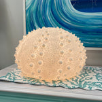 Large Sandstone Sea Urchin Lamp