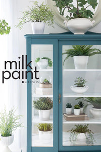 Fusion™ Mineral Paint | Terrarium Milk Paint